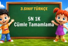 5N 1K Cümle Tamamlama