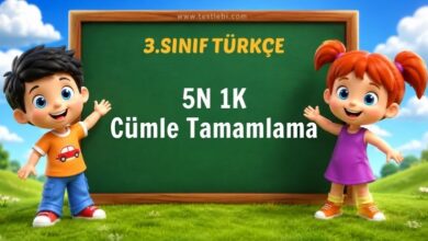 5N 1K Cümle Tamamlama