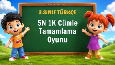 5N 1K Cümle Tamamlama Oyunu