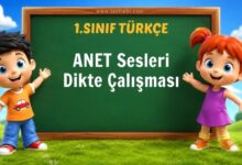 ANET Sesleri Dikte Çalışması
