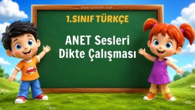 ANET Sesleri Dikte Çalışması