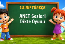 ANET Sesleri Dikte Oyunu