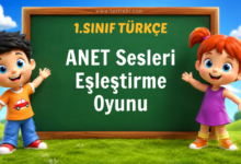 ANET Sesleri Eşleştirme Oyunu