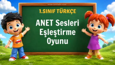 ANET Sesleri Eşleştirme Oyunu
