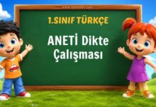 ANETİ Dikte Çalışması