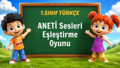 ANETİ Eşleştirme Oyunu
