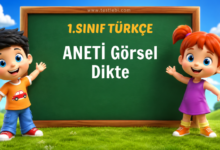 ANETİ Görsel Dikte Oyunu