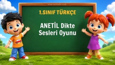 ANETİL SES DİKTE