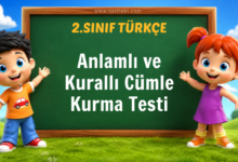 Anlamlı ve Kurallı Cümle Kurma Testi