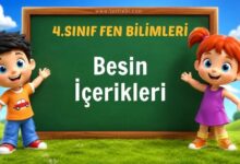 Besin İçerikleri