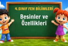 Besinler ve Özellikleri