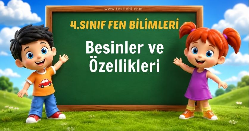 Besinler ve Özellikleri