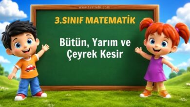 Bütün, Yarım ve Çeyrek Kesir