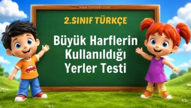 Büyük Harflerin Kullanıldığı Yerler Testi