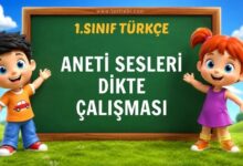 1. Sınıf ANETİ Sesleri Dikte Çalışmas