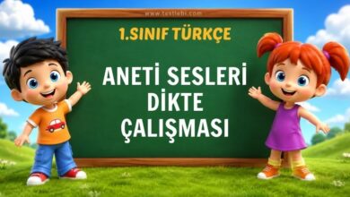 1. Sınıf ANETİ Sesleri Dikte Çalışmas