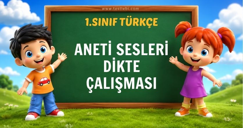 1. Sınıf ANETİ Sesleri Dikte Çalışmas