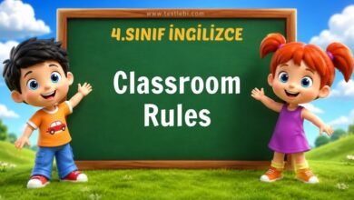 Classroom Rules