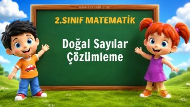 Doğal Sayılar Çözümleme