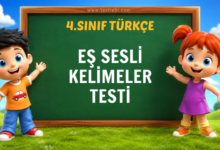 EŞ SESLİ KELİMELER TESTİ