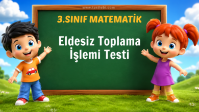 Eldesiz Toplama İşlemi Testi