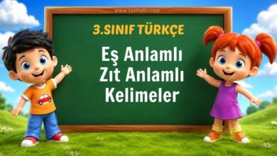 Eş Anlamlı-Zıt Anlamlı Kelimeler