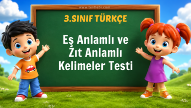 Eş Anlamlı ve Zıt Anlamlı Kelimeler Testi