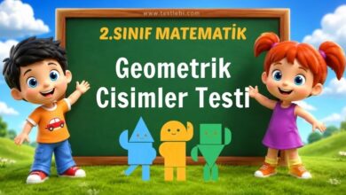 Geometrik Cisimler Testi