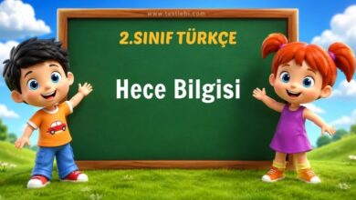 Hece Bilgisi