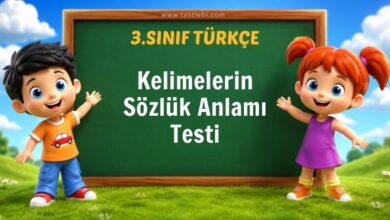 Kelimelerin Sözlük Anlamı Testi