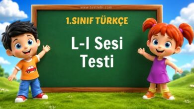 L-l Sesi Testi