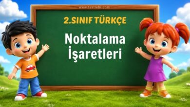 Noktalama İşaretleri