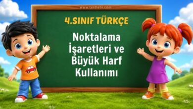 Noktalama İşaretleri ve Büyük Harf Kullanımı