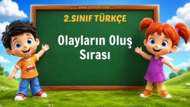Olayların Oluş Sırası
