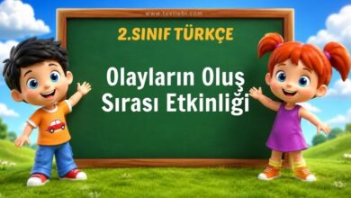 Olayların Oluş Sırası Etkinliği