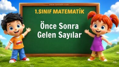 Önce Sonra Gelen Sayılar