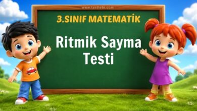 Ritmik Sayma Testi
