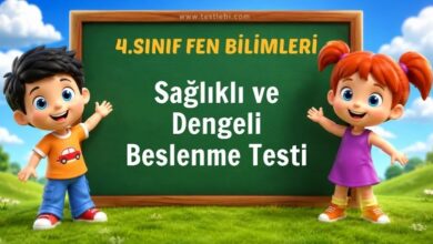 Sağlıklı ve Dengeli Beslenme Testi