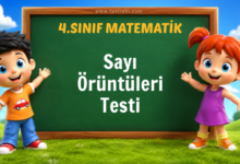 Sayı Örüntüleri Testi
