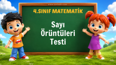 Sayı Örüntüleri Testi