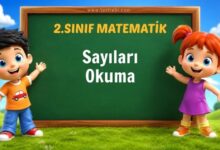 Sayıları Okuma
