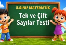Tek ve Çift Sayılar Testi