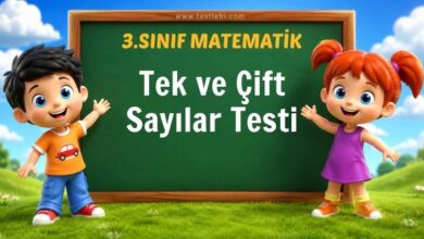 Tek ve Çift Sayılar Testi