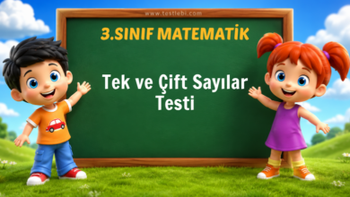 Tek ve Çift Sayılar Testi