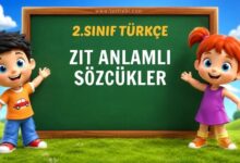 ZIT ANLAMLI SÖZCÜKLER