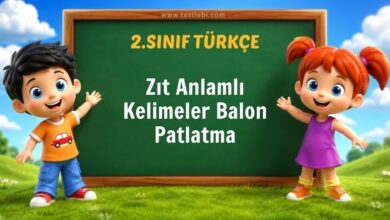 Zıt Anlamlı Kelimeler Balon Patlatma