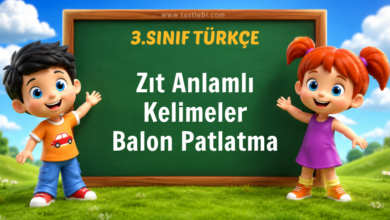 Zıt Anlamlı Kelimeler Balon Patlatma
