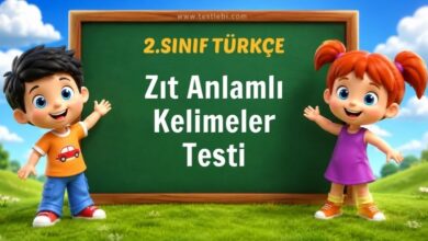 Zıt Anlamlı Kelimeler Testi