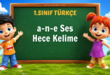 a-n-e Ses Hece Kelime