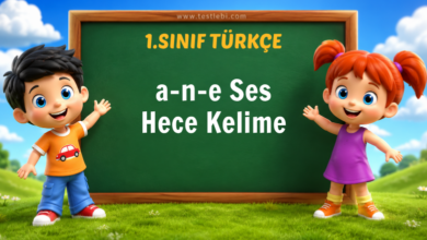 a-n-e Ses Hece Kelime